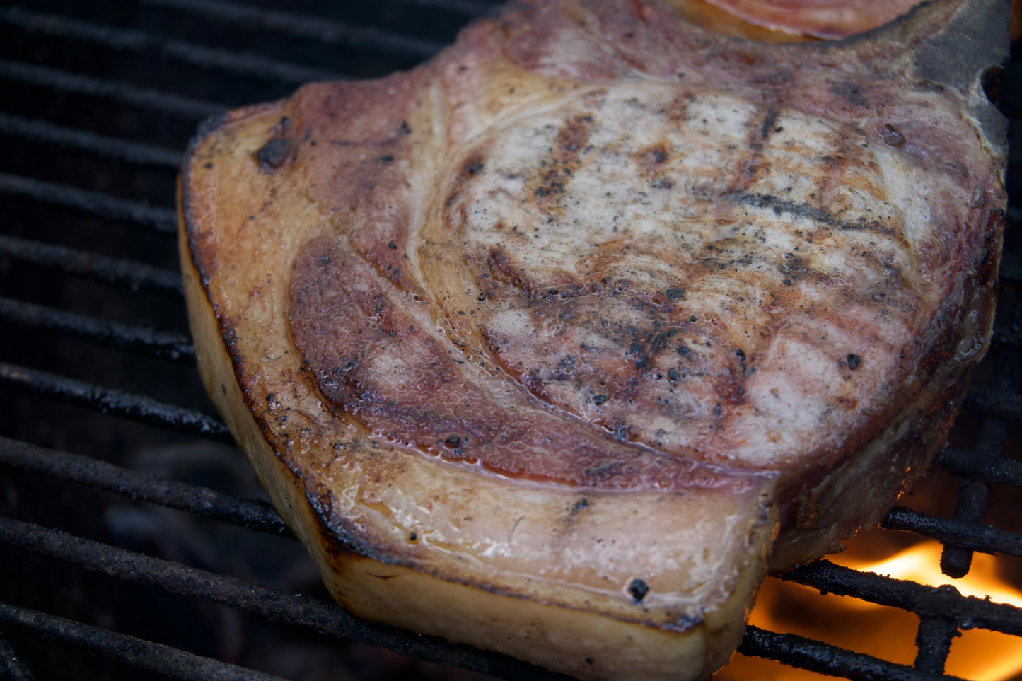 Dry Age Schweinekotelett